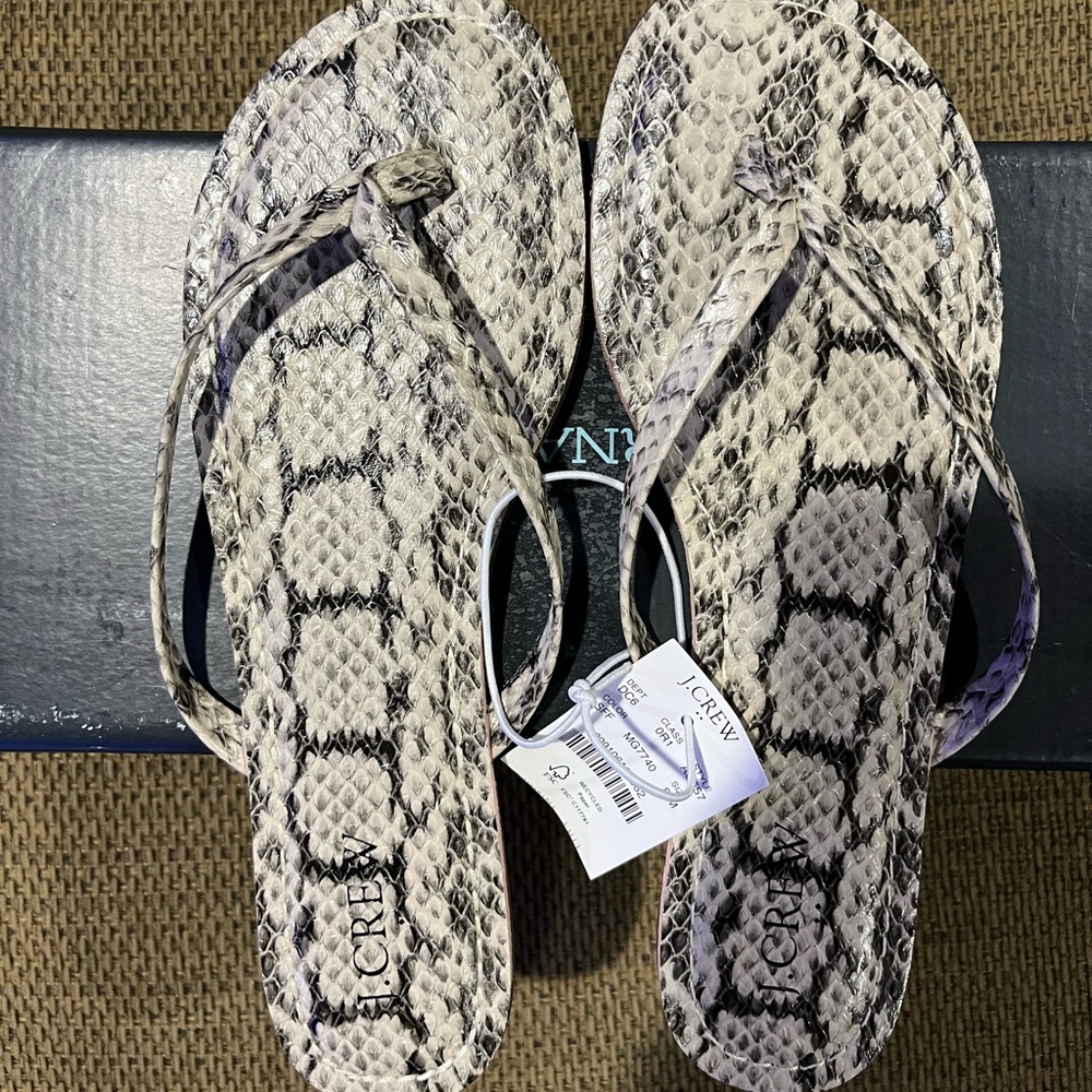 Adorable, snakeskin slides from JCrew. Never worn